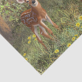 可愛いホワイテールディアツイン 薄葉紙 (詳細)