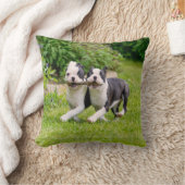 可愛いボストンテリア犬の子犬遊ズ クッション (ブランケット)