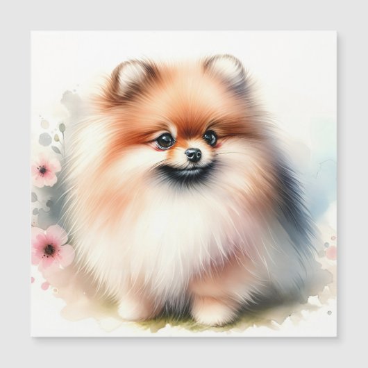 可愛いポメラニア犬水彩イラストレーション マグネット招待状 (正面)