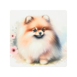 可愛いポメラニア犬水彩イラストレーション メタルプリント