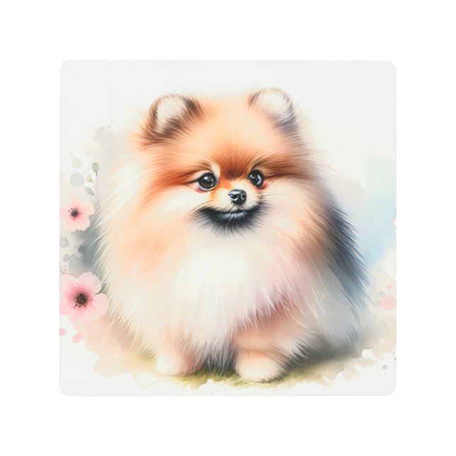 可愛いポメラニア犬水彩イラストレーション メタルプリント (正面)