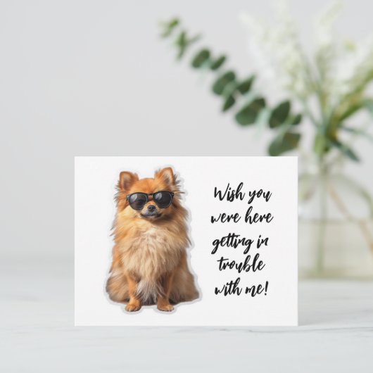 可愛いポメラニア犬犬が君の家に恋しく思いれば ポストカード (スタンド正面)