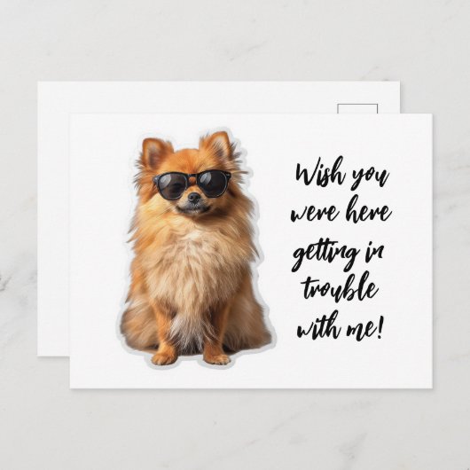 可愛いポメラニア犬犬が君の家に恋しく思いれば ポストカード (正面/裏面)