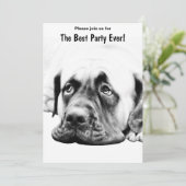 可愛いマスティフ犬 招待状 (スタンド正面)