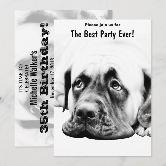 可愛いマスティフ犬 招待状 (正面/裏面)