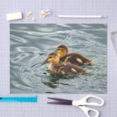 可愛いマラードアヒルの写真 薄葉紙 (クラフト)