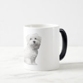 可愛いマルチーズ犬の座り子犬 モーフィングマグカップ (正面右)