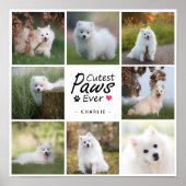 可愛いモダン愛犬の写真コラージュ ポスター (正面)