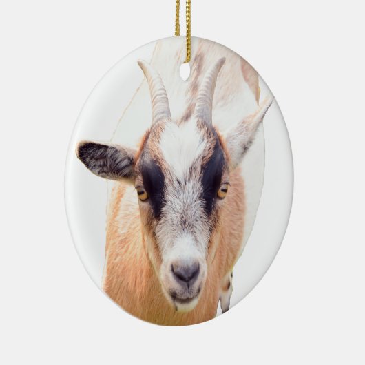 可愛いヤギのストレートな表情 セラミックオーナメント (右)