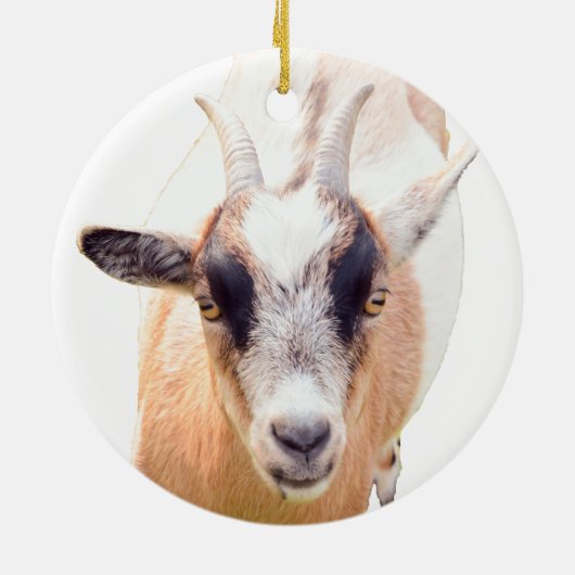 可愛いヤギのストレートな表情 セラミックオーナメント (裏面)