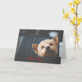 可愛いヨークシャーのテリア犬恋しく思のYou Card カード (黄色い花)