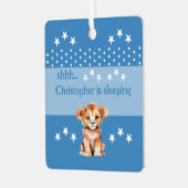 可愛いライオンshhh名前を付けて青く眠っている メタルオーナメント (正面左)