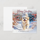 可愛いラサ・アプソの犬と雪のメリークリスマス シーズンカード (正面/裏面)
