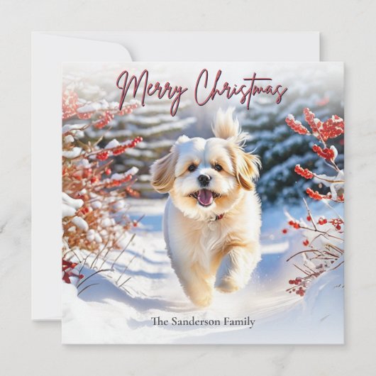 可愛いラサ・アプソの犬と雪のメリークリスマス シーズンカード (正面)