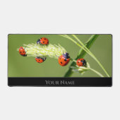 可愛いラッキーなマインドセット用ラッキー前向きラディバグ デスクマット (正面)