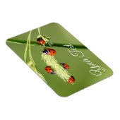 可愛いラディバグが幸運と幸運を与える! マグネット (右側)