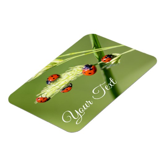 可愛いラディバグが幸運と幸運を与える！ マグネット (左側)