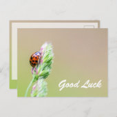 可愛いラディバグで頑張れ!ハガキ ポストカード (正面/裏面)