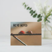 可愛いラディバグ新しいアドレス自然はがき 案内ポストカード (スタンド正面)