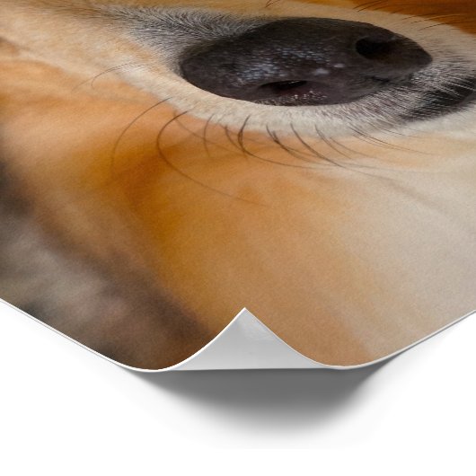 可愛いラフな子 ポスター (角)