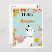 可愛いラマ葉書 ポストカード (正面/裏面)