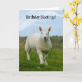 可愛いラム誕生日のブレージング – Lamb In Field カード (黄色い花)