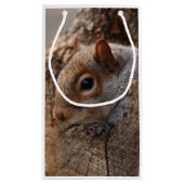 可愛いリスが彼女の穴から外を見る スモールペーパーバッグ (裏面)