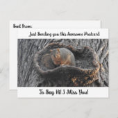 可愛いリス恋しく思「私はあなた」ことわざハイポストカード ポストカード (正面/裏面)