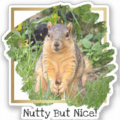 可愛いリス柄だが素敵 シール (正面)