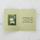 可愛いリス考えルの仲間 カード (内部)