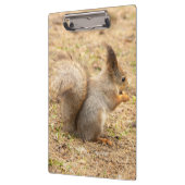 可愛いリス食べルのナッツの写真 クリップボード (左)