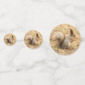 可愛いリス食べルのナッツの写真 コンフェッティ (正面)