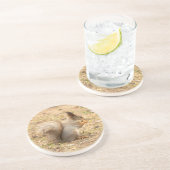 可愛いリス食べルのナッツの写真 コースター (側面)