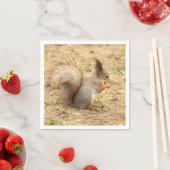 可愛いリス食べルのナッツの写真 スタンダードカクテルナプキン (インサイチュ)