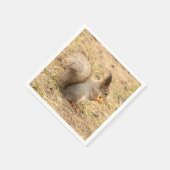 可愛いリス食べルのナッツの写真 スタンダードカクテルナプキン (角)