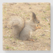 可愛いリス食べルのナッツの写真 ストーンコースター (正面)