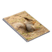 可愛いリス食べルのナッツの写真 ノートブック (右側)