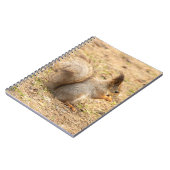 可愛いリス食べルのナッツの写真 ノートブック (左側)