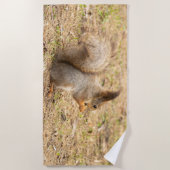 可愛いリス食べルのナッツの写真 ビーチタオル (正面)