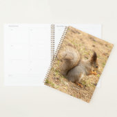 可愛いリス食べルのナッツの写真 プランナー手帳 (ディスプレー)