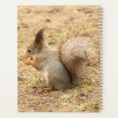可愛いリス食べルのナッツの写真 プランナー手帳 (裏面)