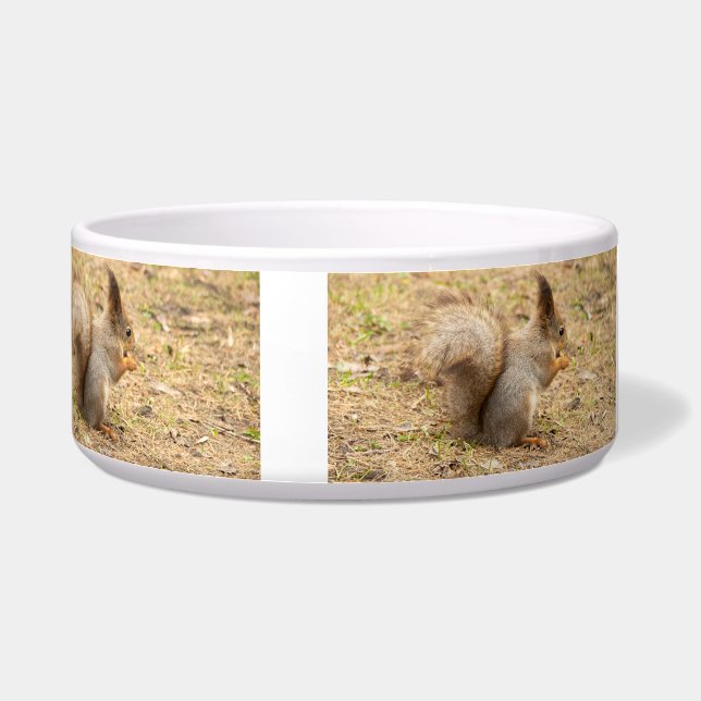 可愛いリス食べルのナッツの写真 ボウル (右)