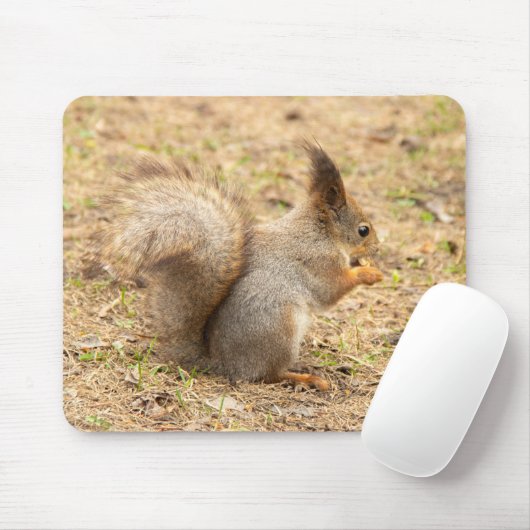 可愛いリス食べルのナッツの写真 マウスパッド (マウス)