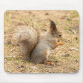 可愛いリス食べルのナッツの写真 マウスパッド (正面)