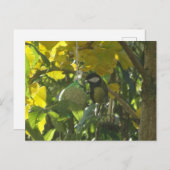 可愛いリッ食べ物トルの鳥DIYはがき ポストカード (正面/裏面)