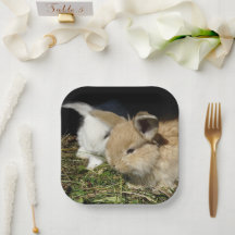 可愛いリトルフワフワ紙プレート