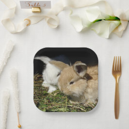 可愛いリトルフワフワ紙プレート ペーパープレート