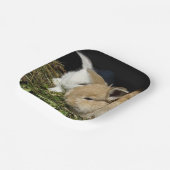 可愛いリトルフワフワ紙プレート ペーパープレート (傾斜あり)