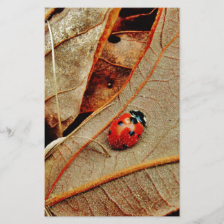 可愛いレディバグの衣装は名前の贈り物をパーソナライズ