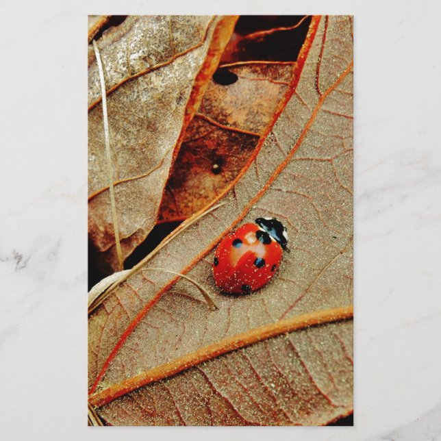 可愛いレディバグの衣装は名前の贈り物をパーソナライズ (正面)